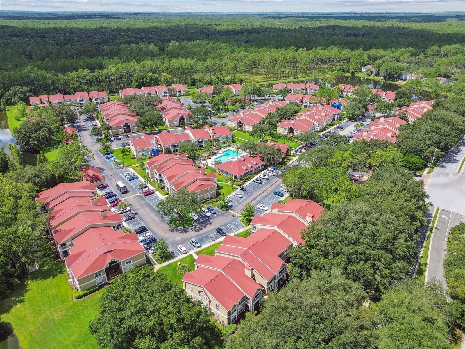 9481 Highland Oak Drive #1615 Tampa FL 33647 TB8500558 image62