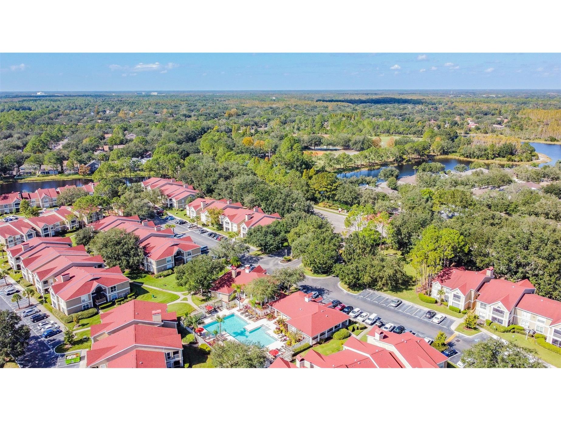 9481 Highland Oak Drive #1615 Tampa FL 33647 TB8500558 image64