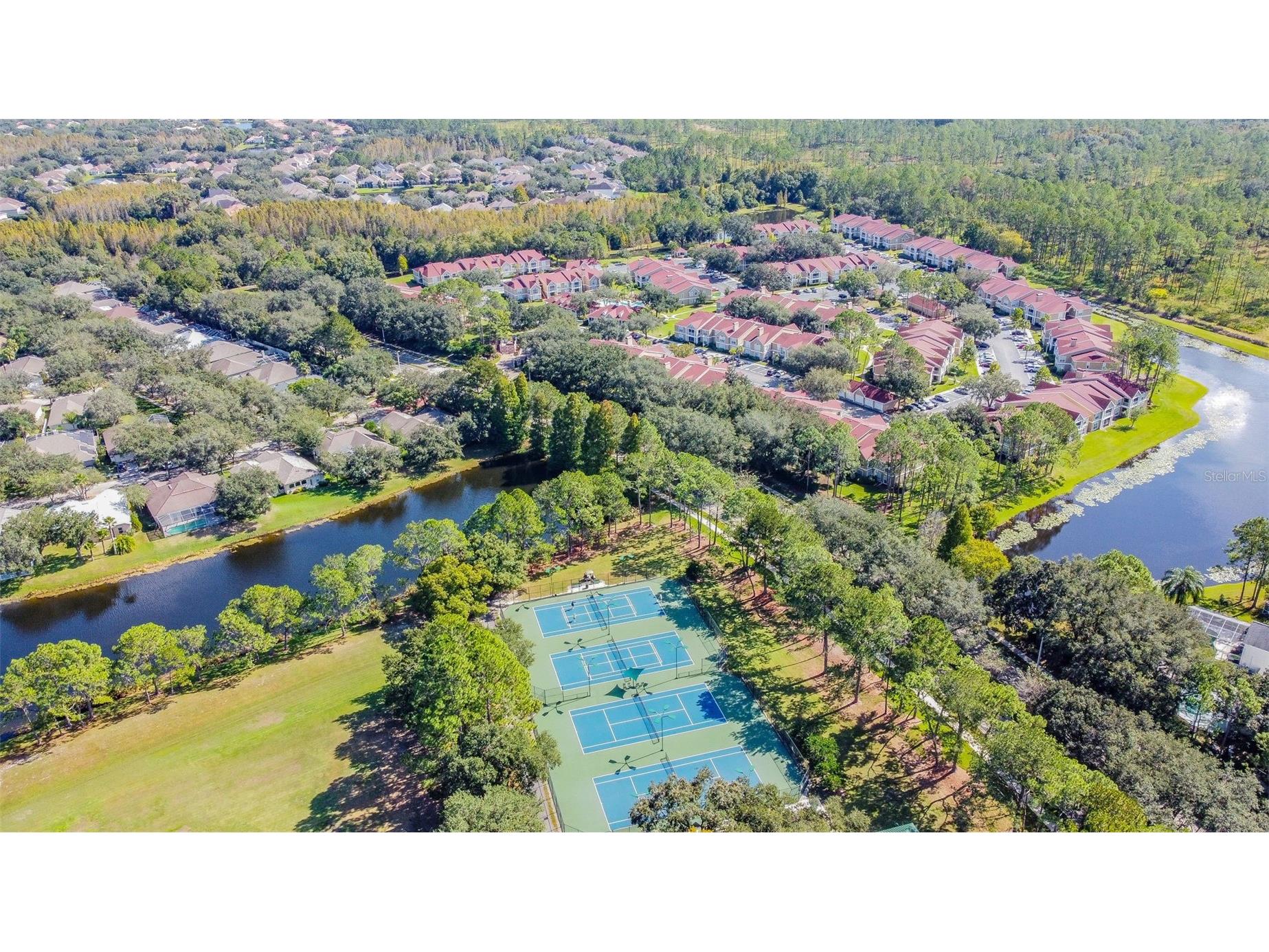 9481 Highland Oak Drive #1615 Tampa FL 33647 TB8500558 image66