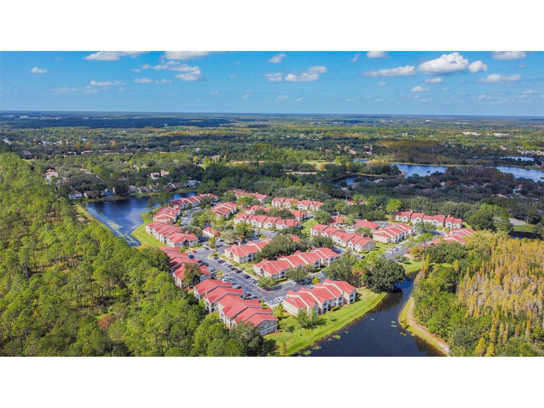9481 Highland Oak Drive #1615 Tampa FL 33647 TB8500558 image67