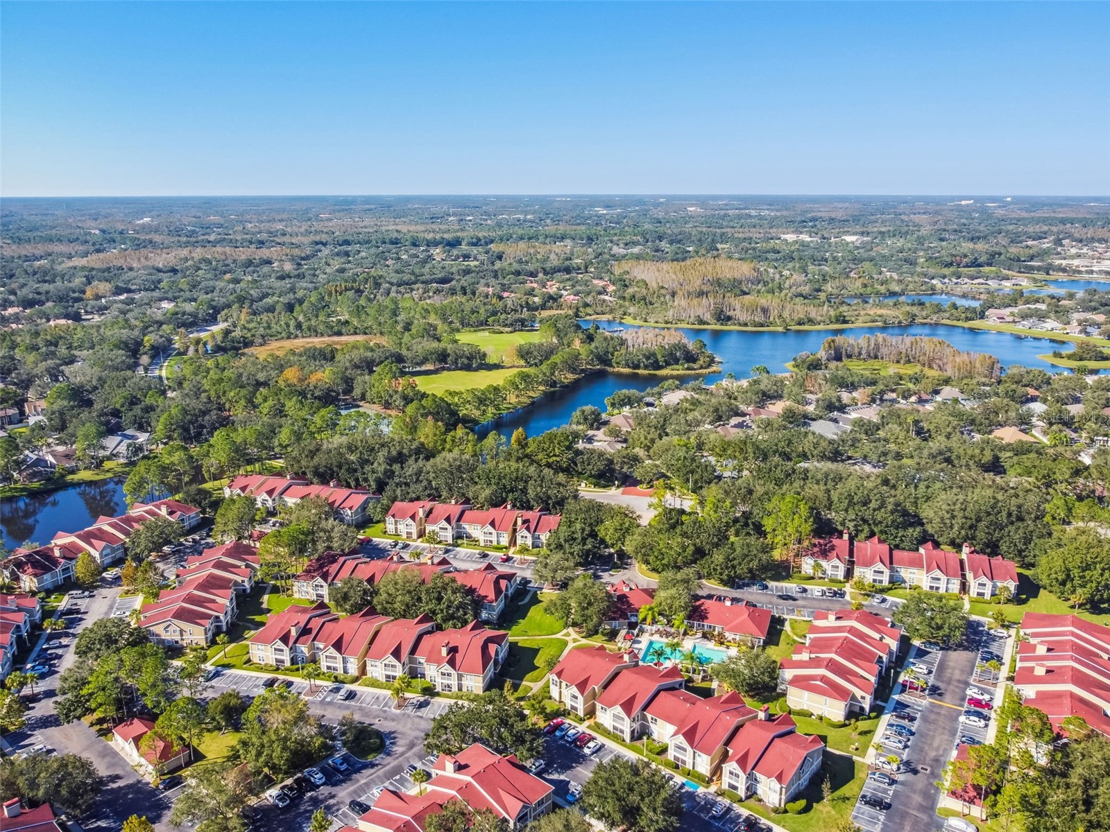 9481 Highland Oak Drive #1615 Tampa FL 33647 TB8500558 image69
