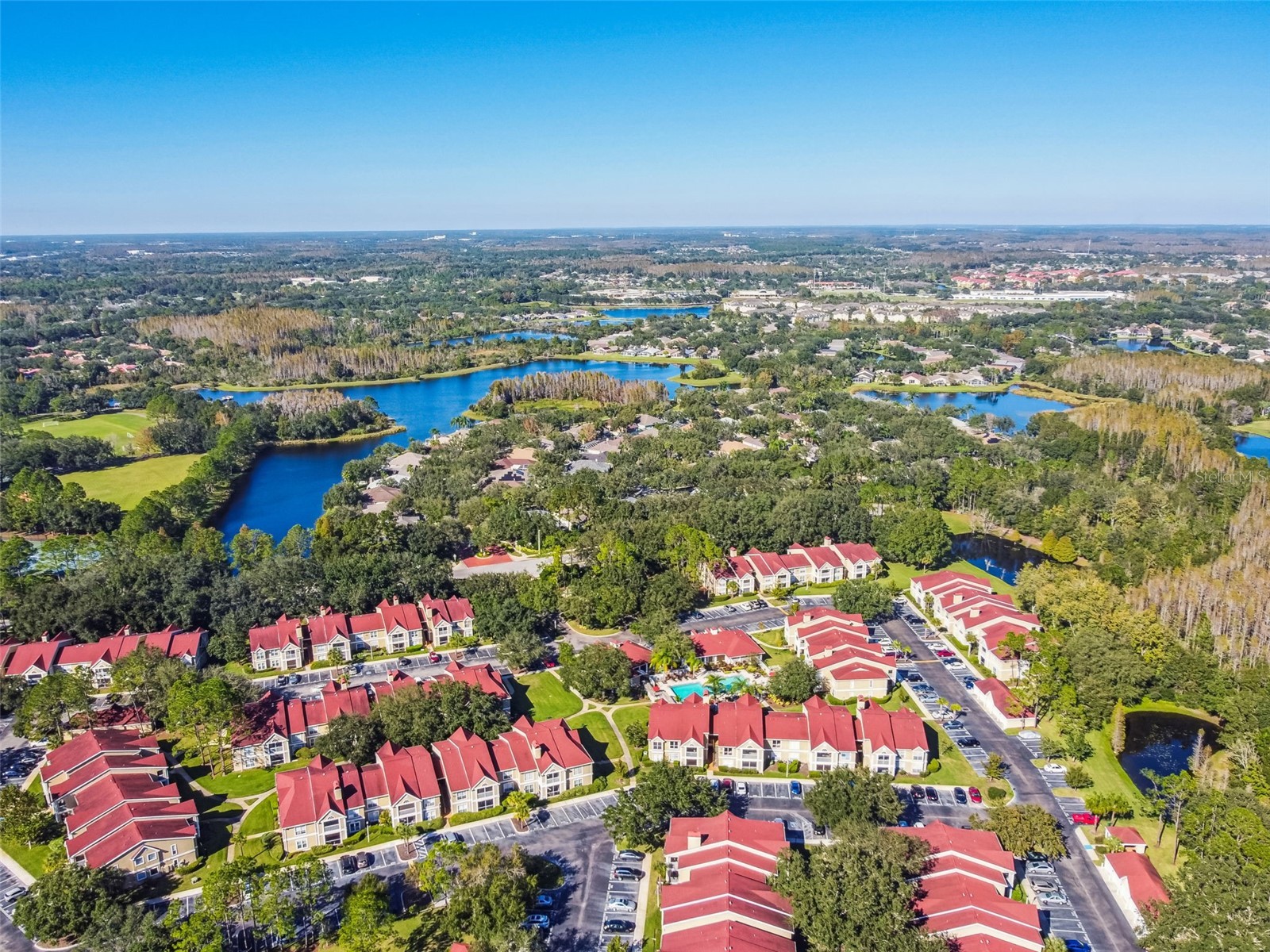 9481 Highland Oak Drive #1615 Tampa FL 33647 TB8500558 image70