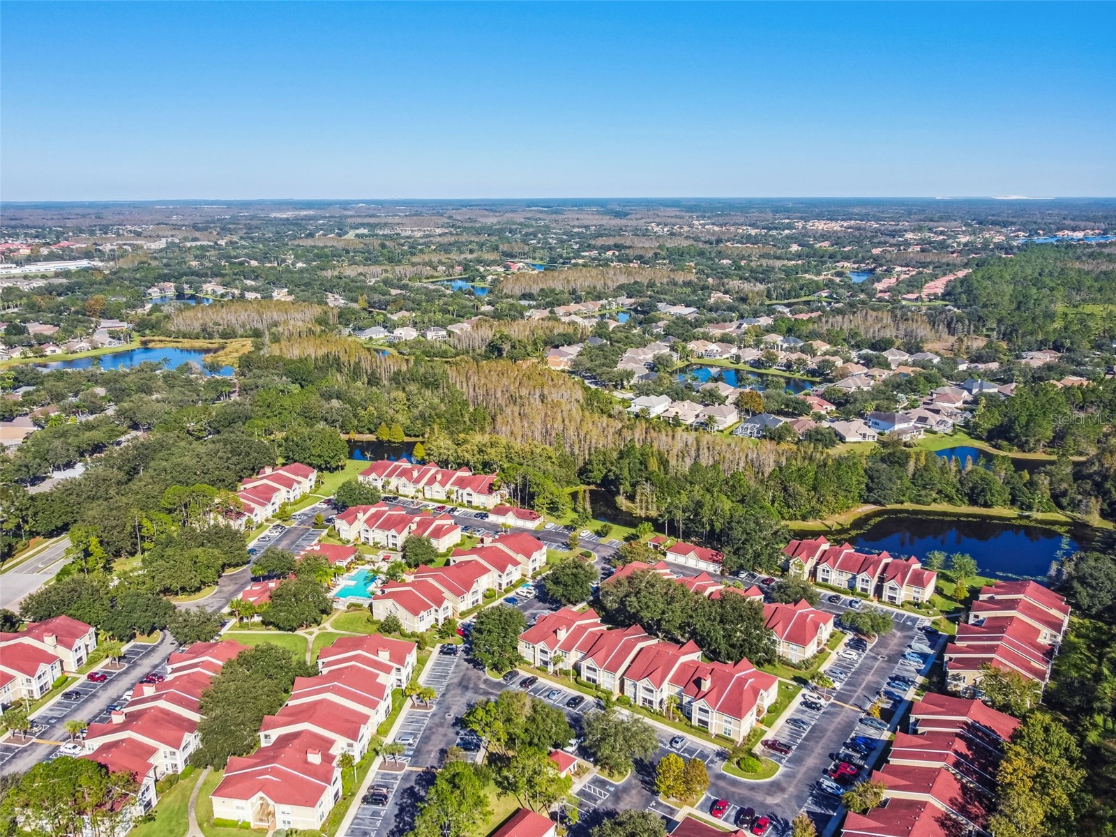 9481 Highland Oak Drive #1615 Tampa FL 33647 TB8500558 image71