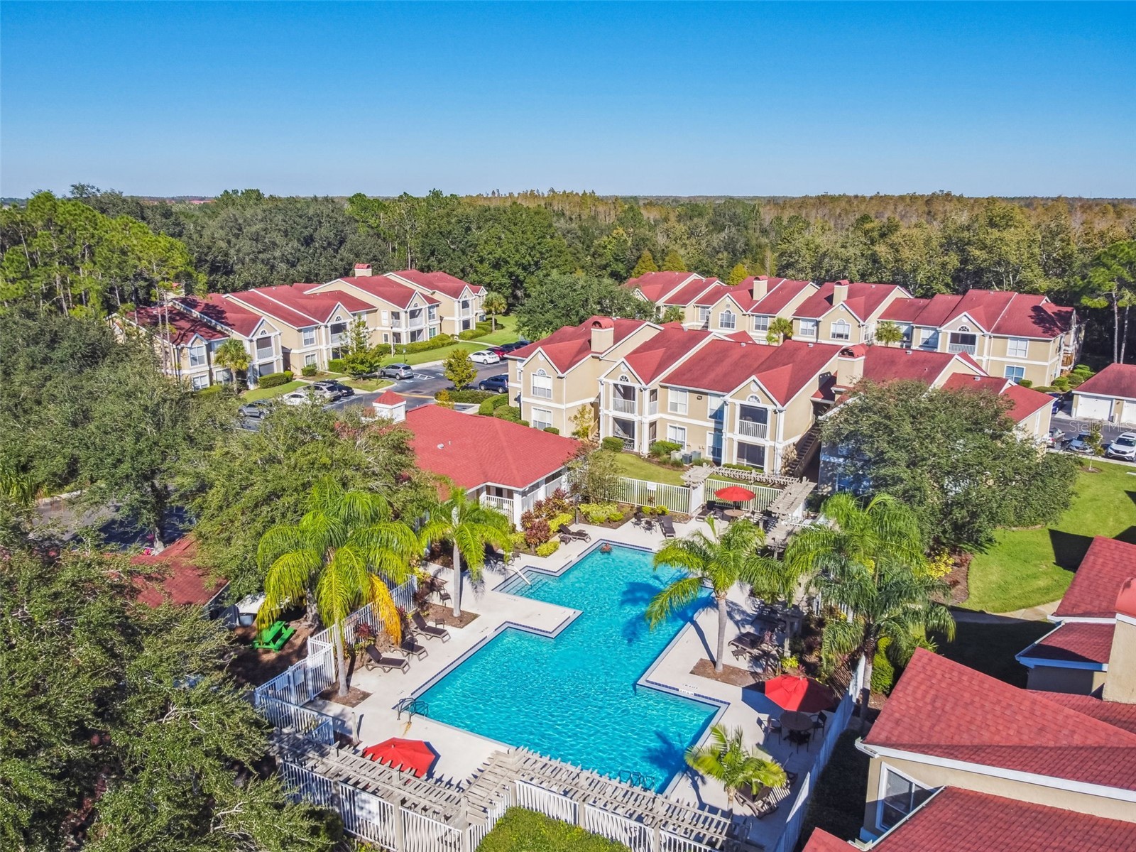 9481 Highland Oak Drive #1615 Tampa FL 33647 TB8500558 image74