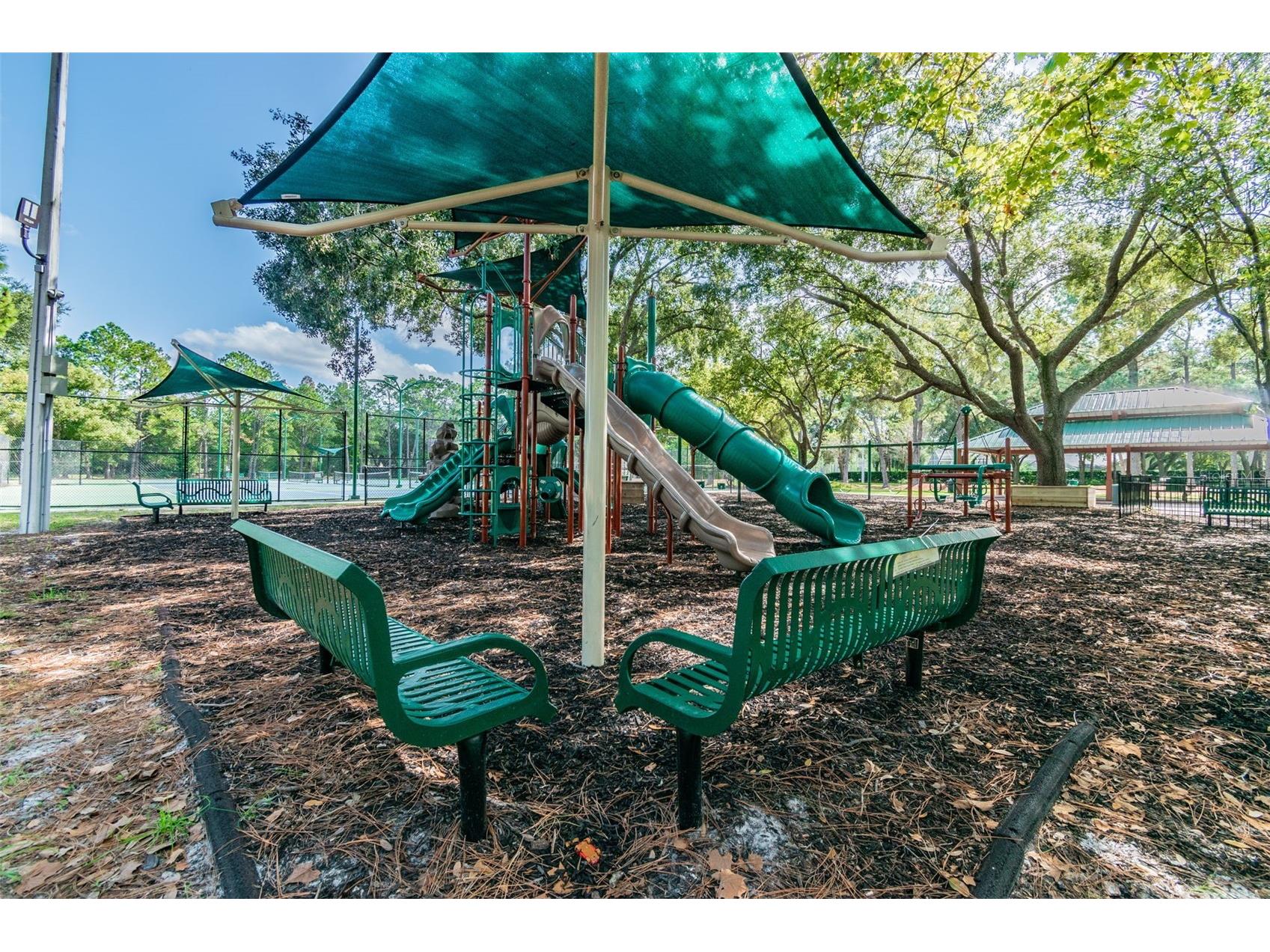 9481 Highland Oak Drive #1615 Tampa FL 33647 TB8500558 image84