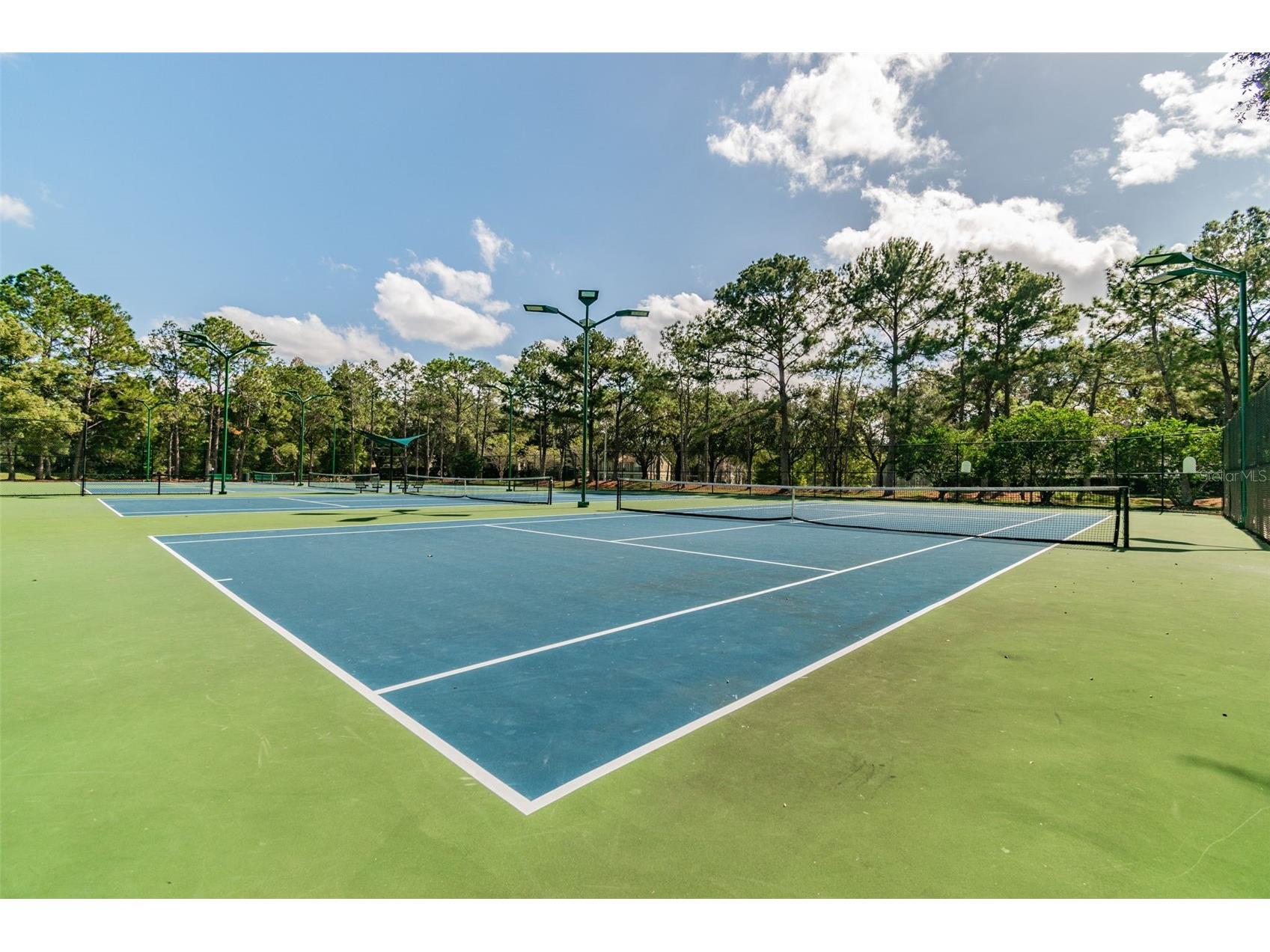 9481 Highland Oak Drive #1615 Tampa FL 33647 TB8500558 image85