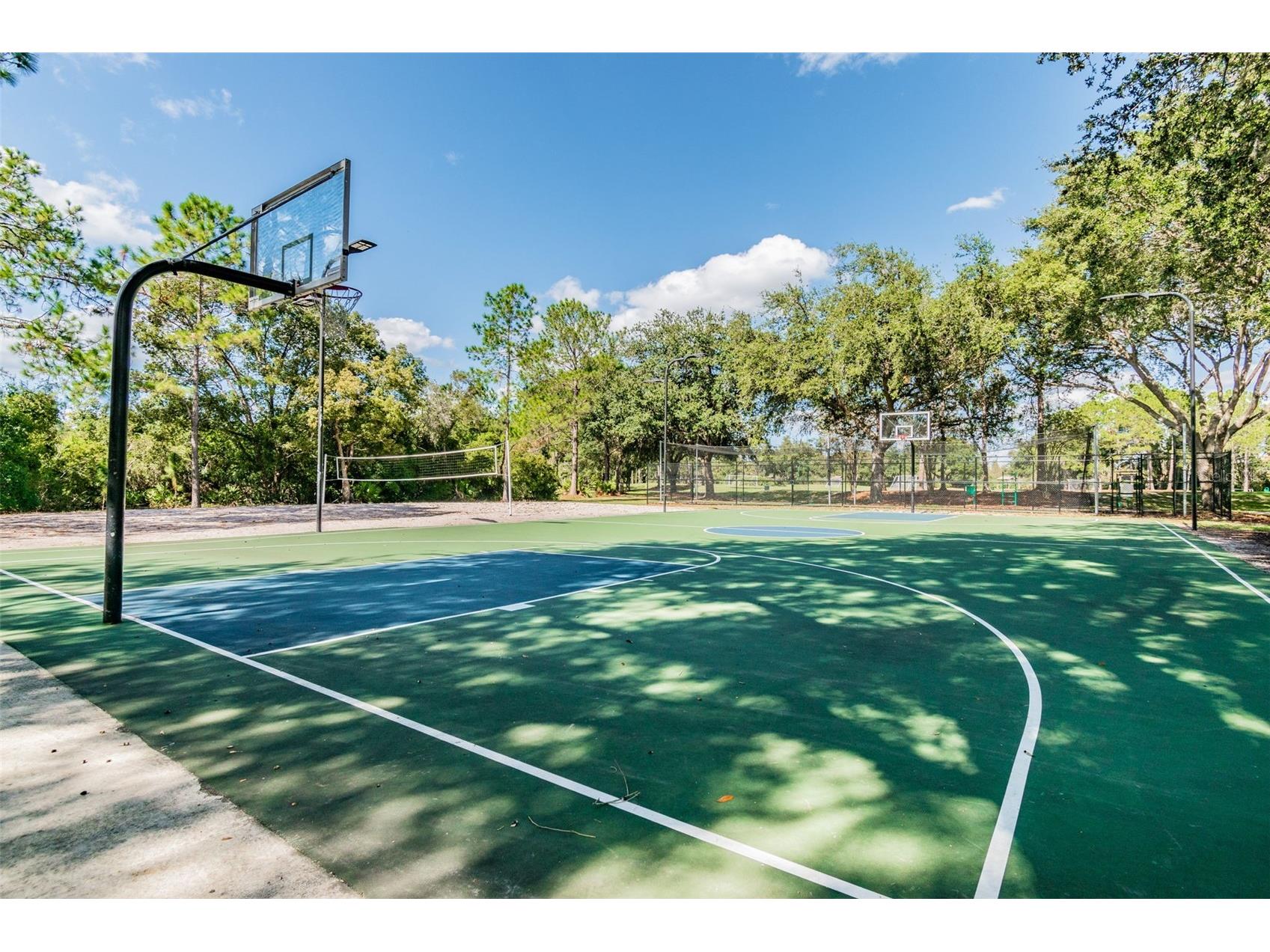 9481 Highland Oak Drive #1615 Tampa FL 33647 TB8500558 image86