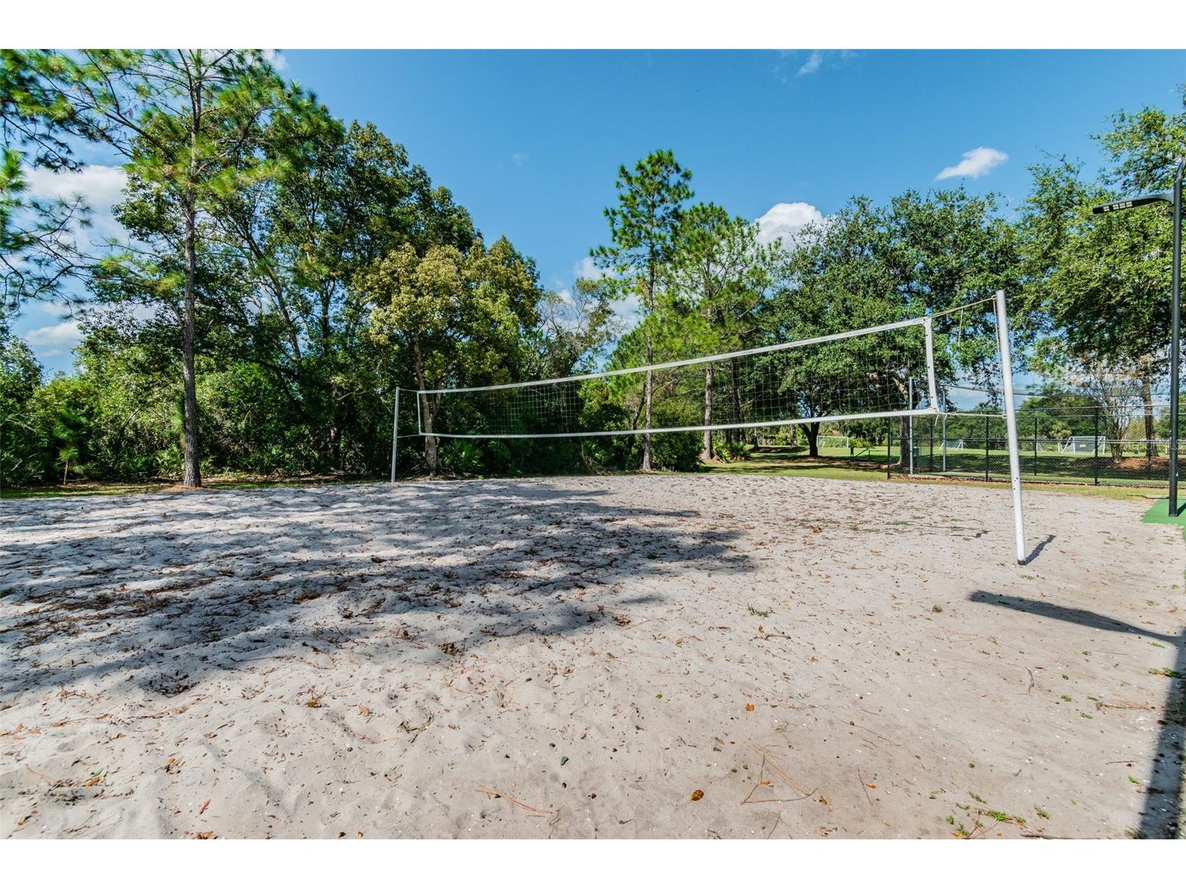 9481 Highland Oak Drive #1615 Tampa FL 33647 TB8500558 image87