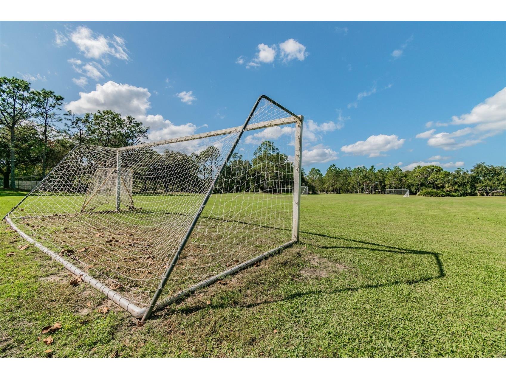 9481 Highland Oak Drive #1615 Tampa FL 33647 TB8500558 image89