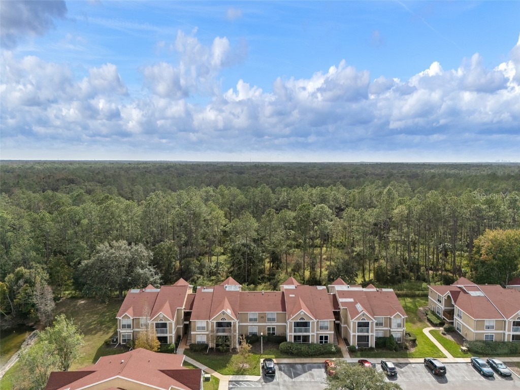 9481 Highland Oak Drive #1709 Tampa FL 33647 TB8452308 image39