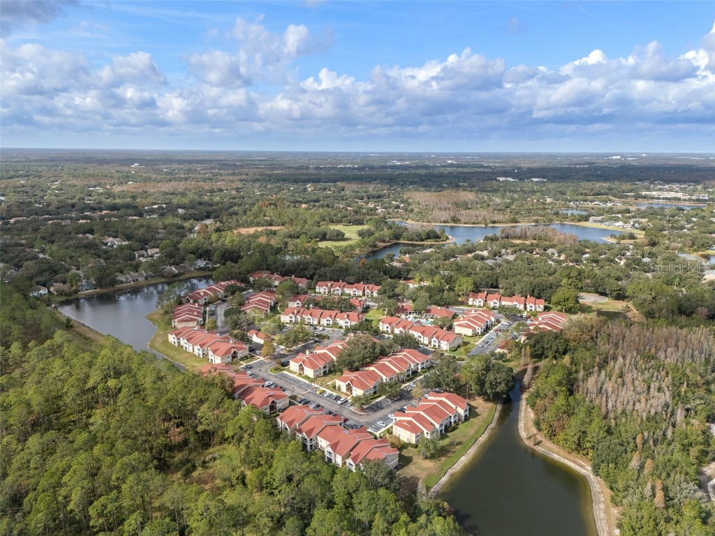 9481 Highland Oak Drive #1709 Tampa FL 33647 TB8452308 image41