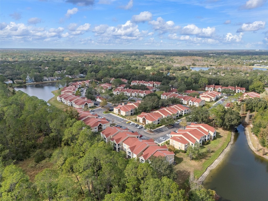 9481 Highland Oak Drive #1709 Tampa FL 33647 TB8452308 image42