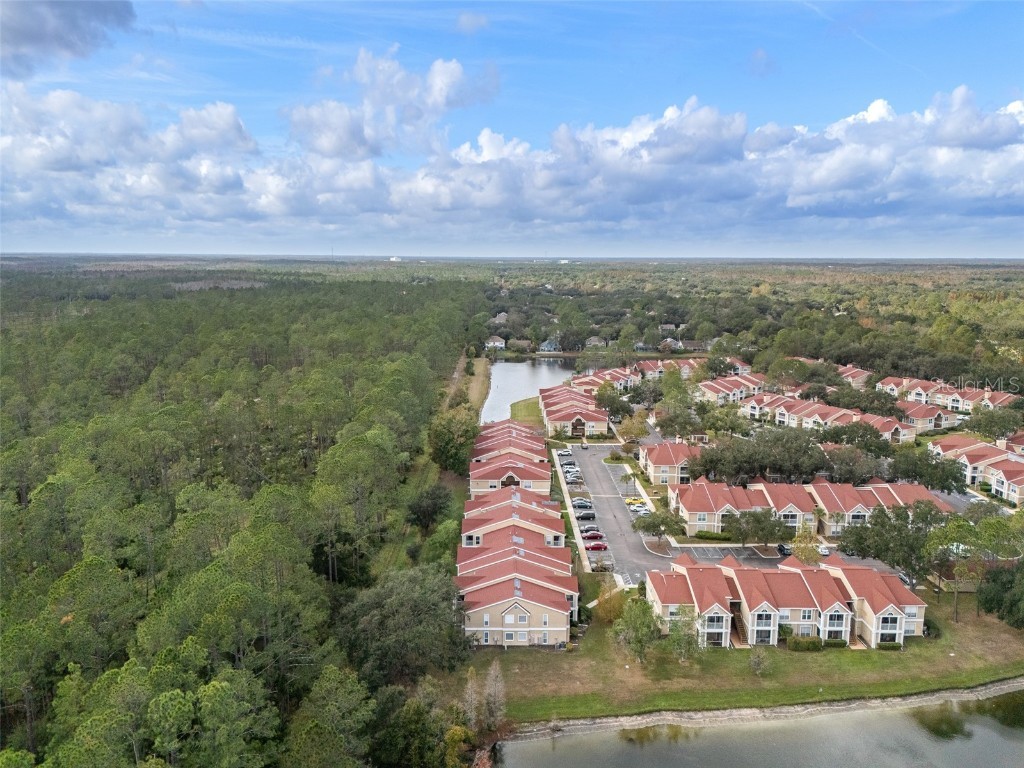 9481 Highland Oak Drive #1709 Tampa FL 33647 TB8452308 image43