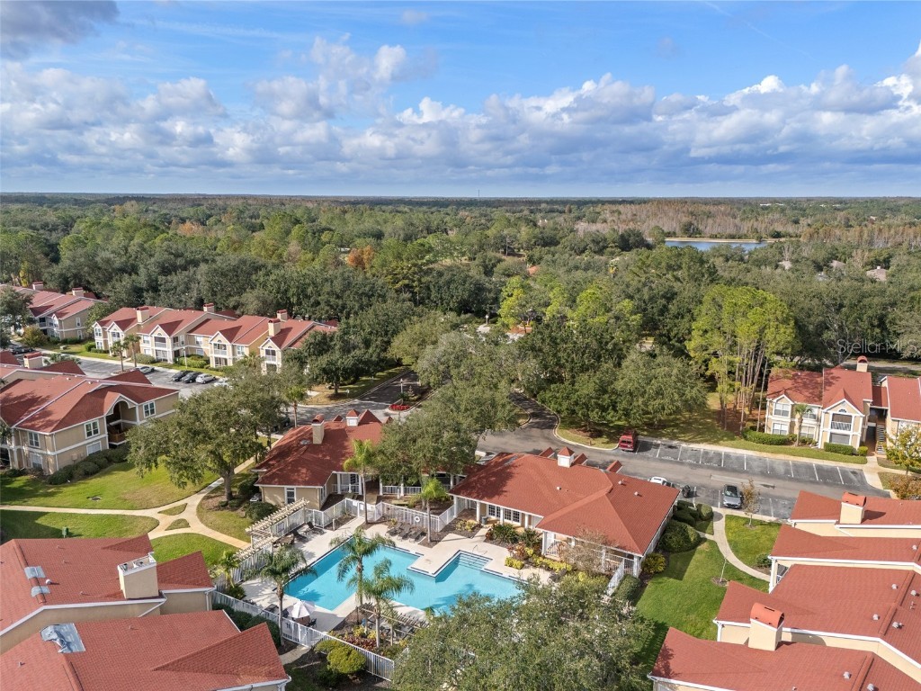 9481 Highland Oak Drive #1709 Tampa FL 33647 TB8452308 image44