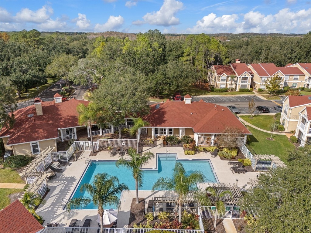 9481 Highland Oak Drive #1709 Tampa FL 33647 TB8452308 image45
