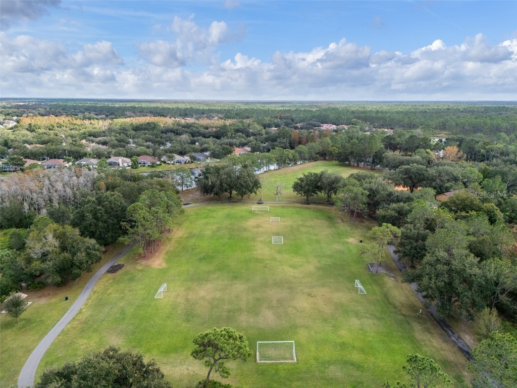 9481 Highland Oak Drive #1709 Tampa FL 33647 TB8452308 image47