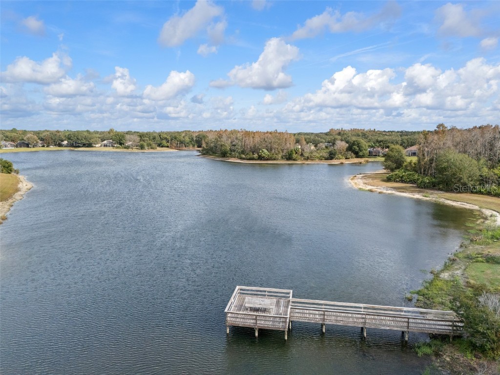 9481 Highland Oak Drive #1709 Tampa FL 33647 TB8452308 image52