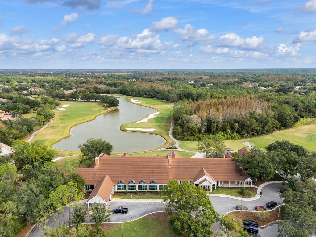 9481 Highland Oak Drive #1709 Tampa FL 33647 TB8452308 image55