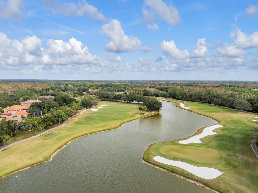 9481 Highland Oak Drive #1709 Tampa FL 33647 TB8452308 image57