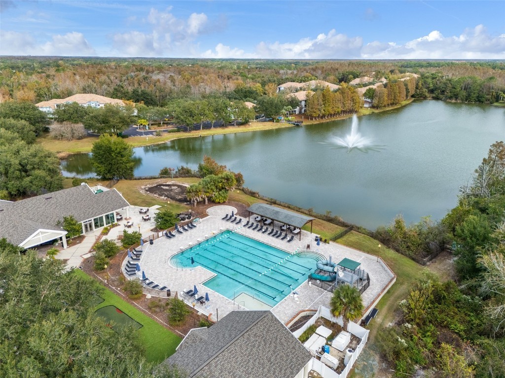 9481 Highland Oak Drive #1709 Tampa FL 33647 TB8452308 image65