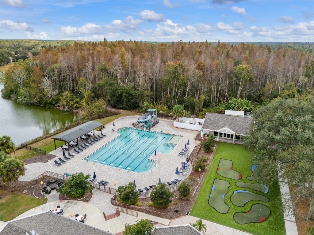 9481 Highland Oak Drive #1709 Tampa FL 33647 TB8452308 image66