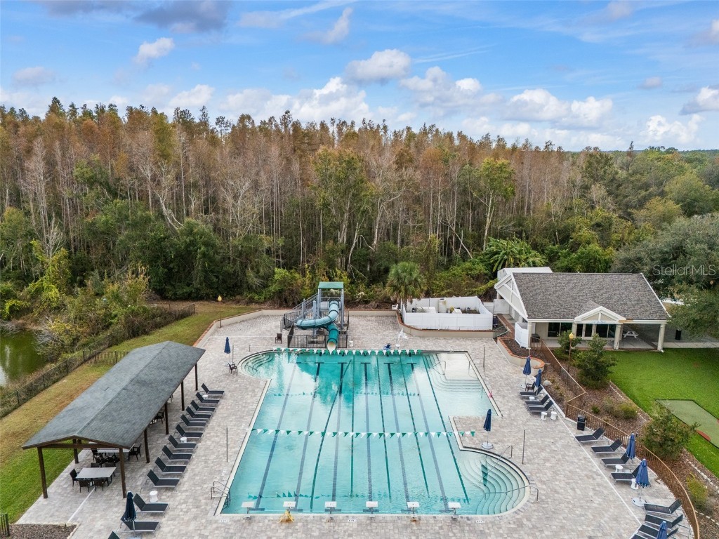 9481 Highland Oak Drive #1709 Tampa FL 33647 TB8452308 image67