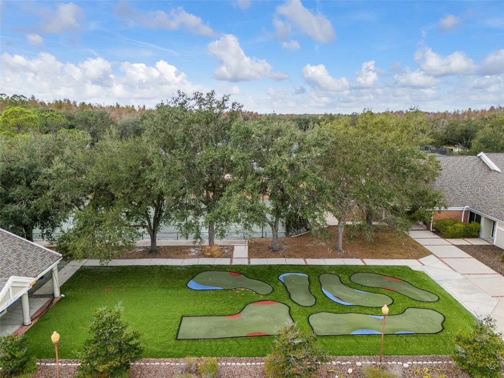 9481 Highland Oak Drive #1709 Tampa FL 33647 TB8452308 image68