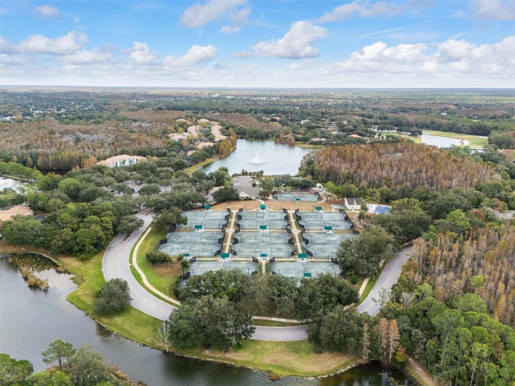 9481 Highland Oak Drive #1709 Tampa FL 33647 TB8452308 image69