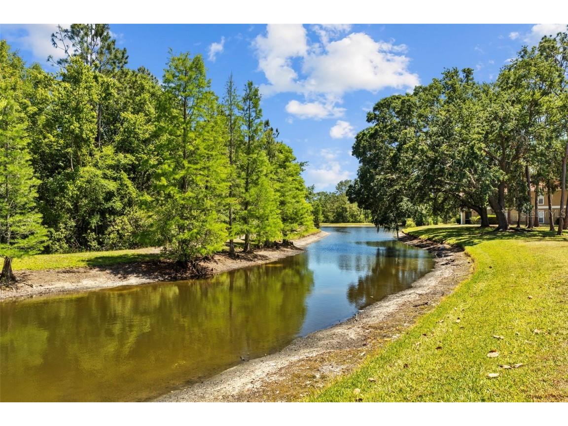9481 Highland Oak Drive #305 Tampa FL 33647 TB8452217 image27