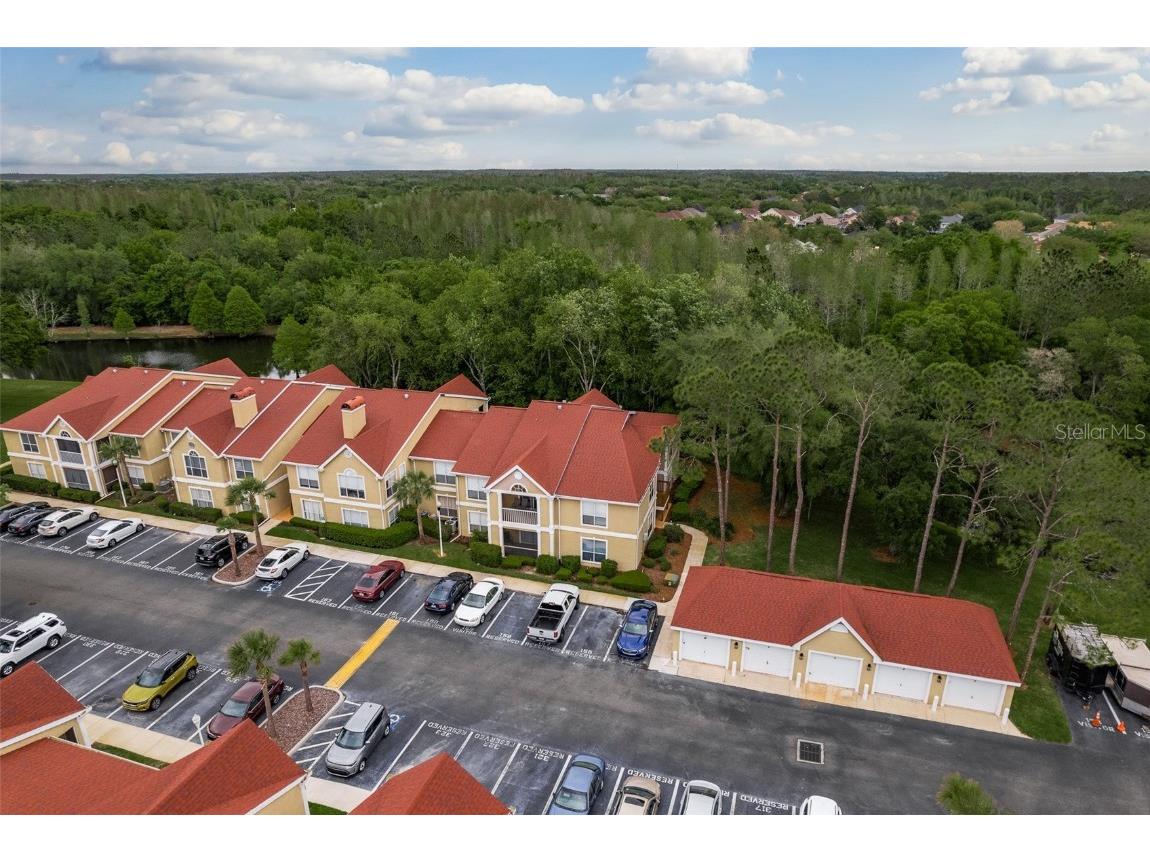 9481 Highland Oak Drive #411 Tampa FL 33647 T3513214 image1