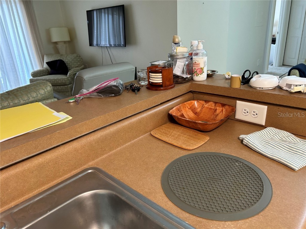 9481 Highland Oak Drive #505 Tampa FL 33647 TB8308005 image17