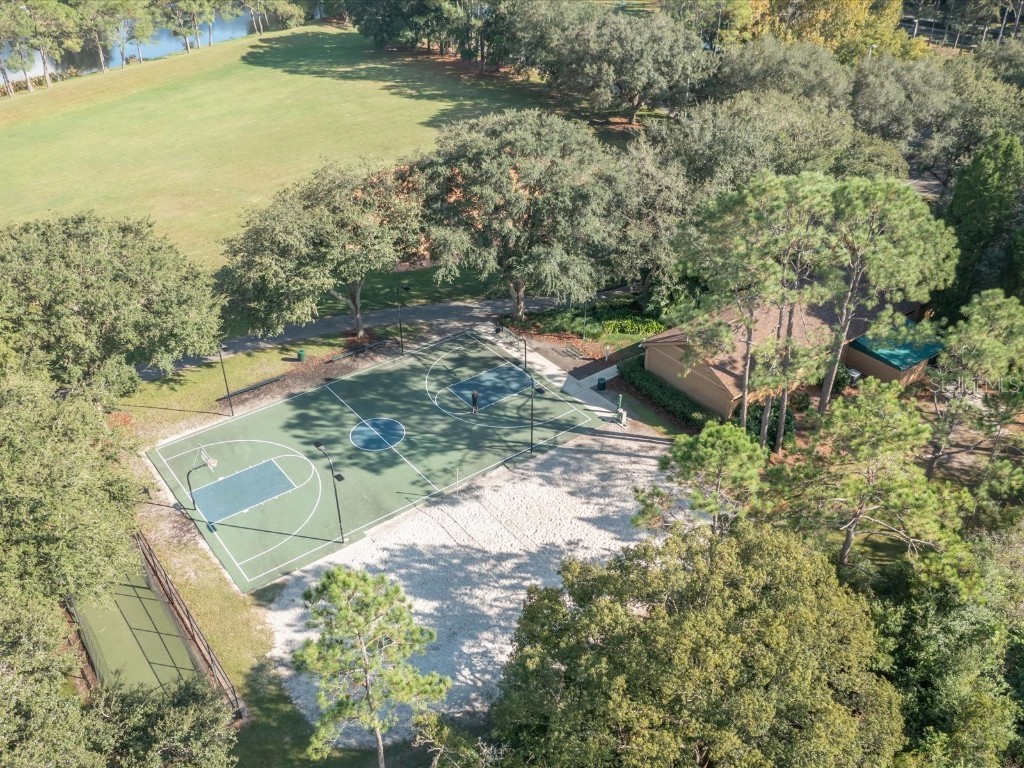 9481 Highland Oak Drive #508 Tampa FL 33647 TB8376460 image41