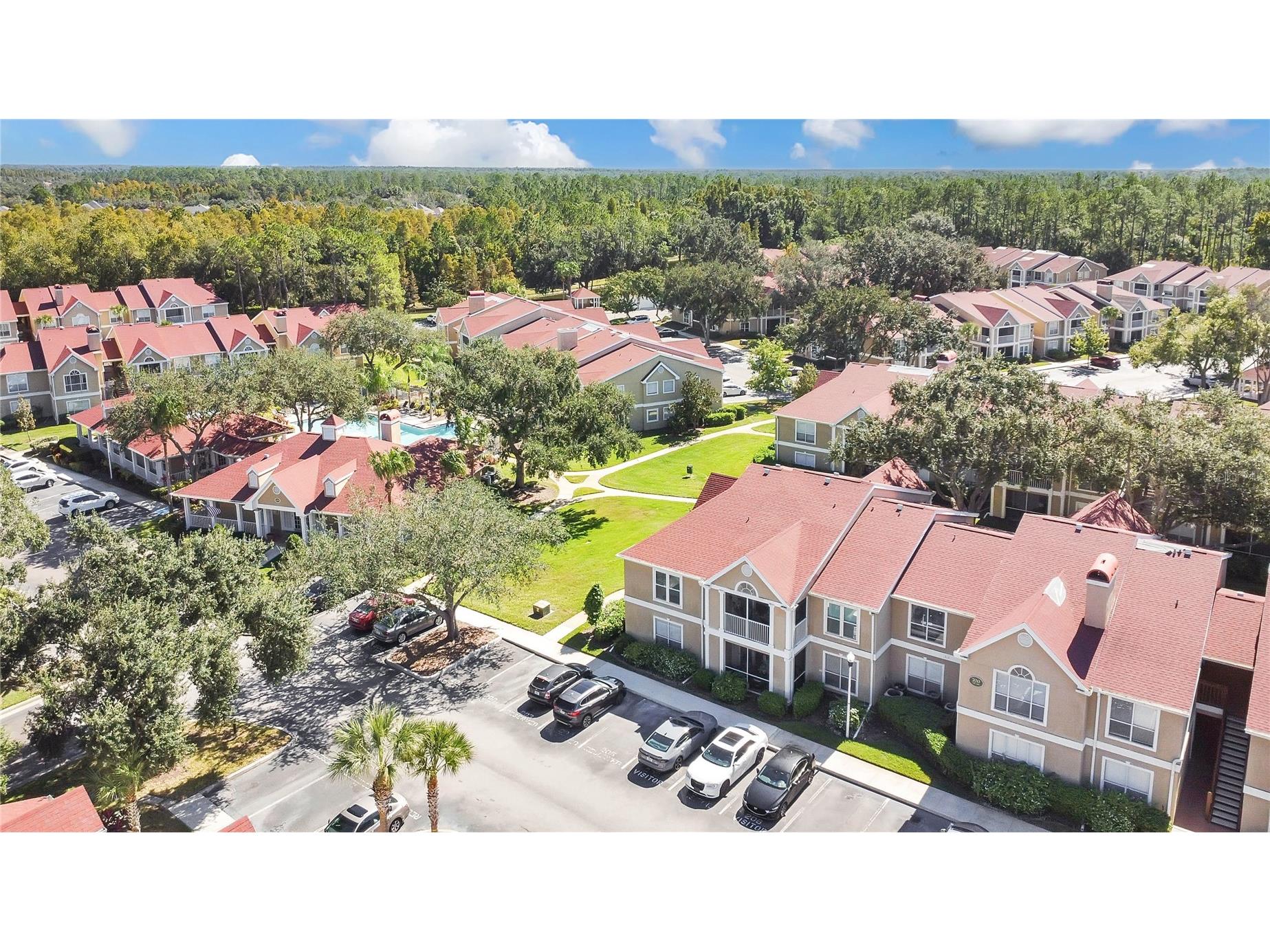 9481 Highland Oak Drive #702 Tampa FL 33647 L4956915 image24