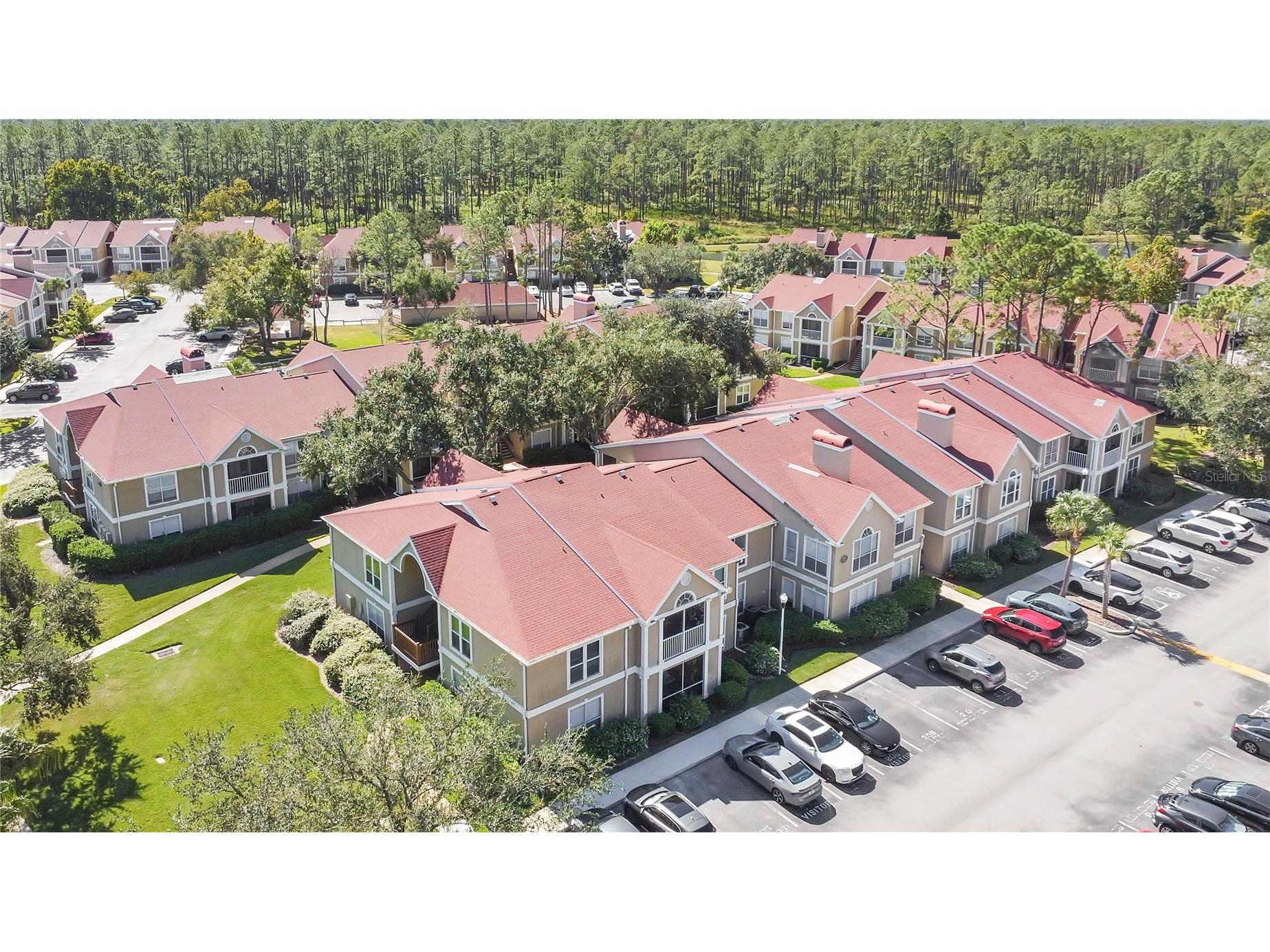 9481 Highland Oak Drive #702 Tampa FL 33647 L4956915 image25