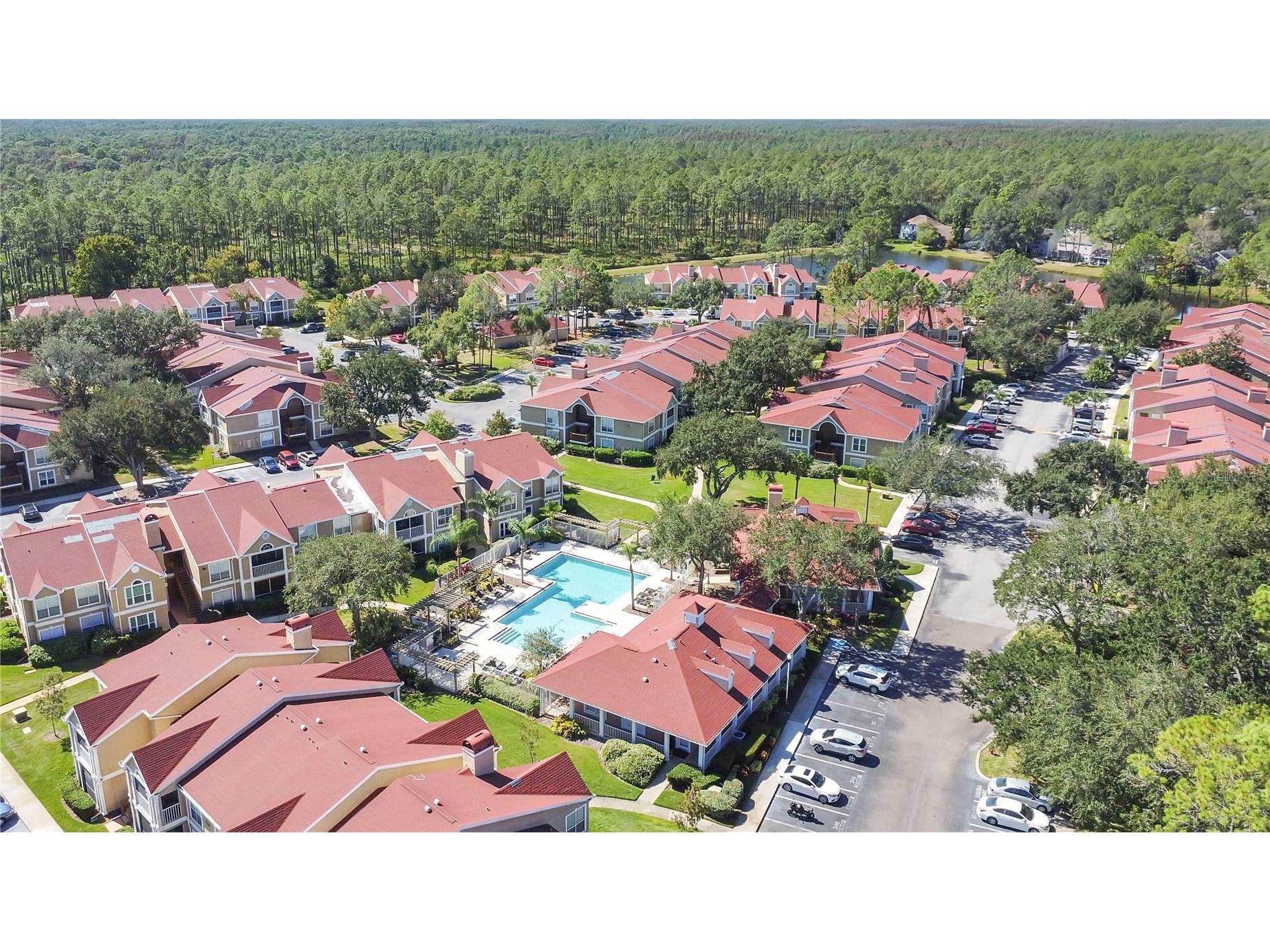 9481 Highland Oak Drive #702 Tampa FL 33647 L4956915 image29