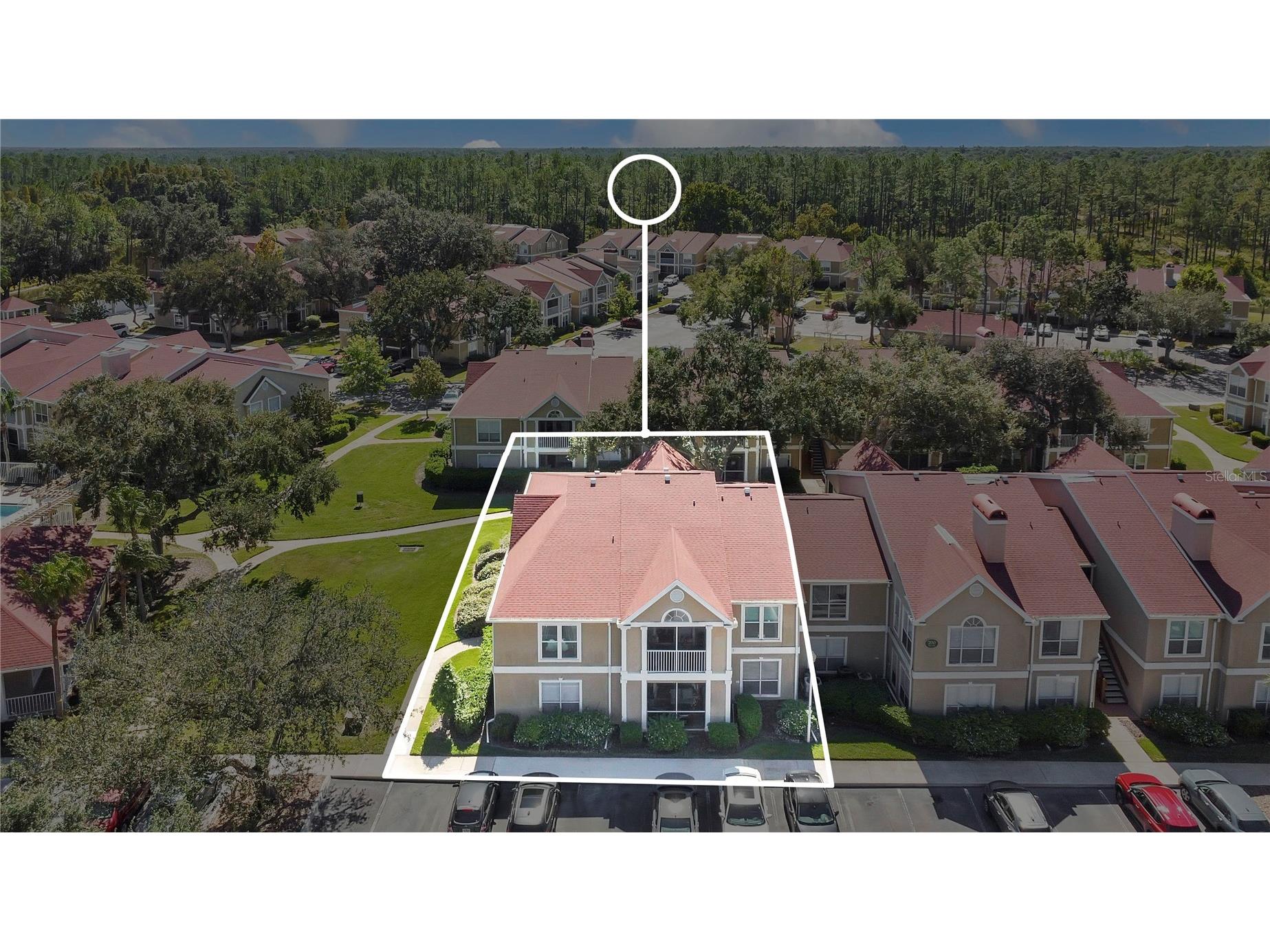 9481 Highland Oak Drive #702 Tampa FL 33647 L4956915 image4