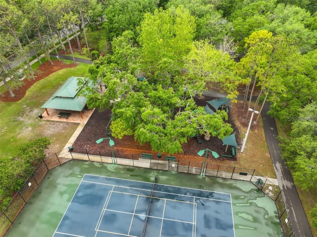 9481 Highland Oak Drive #703 Tampa FL 33647 TB8367639 image18