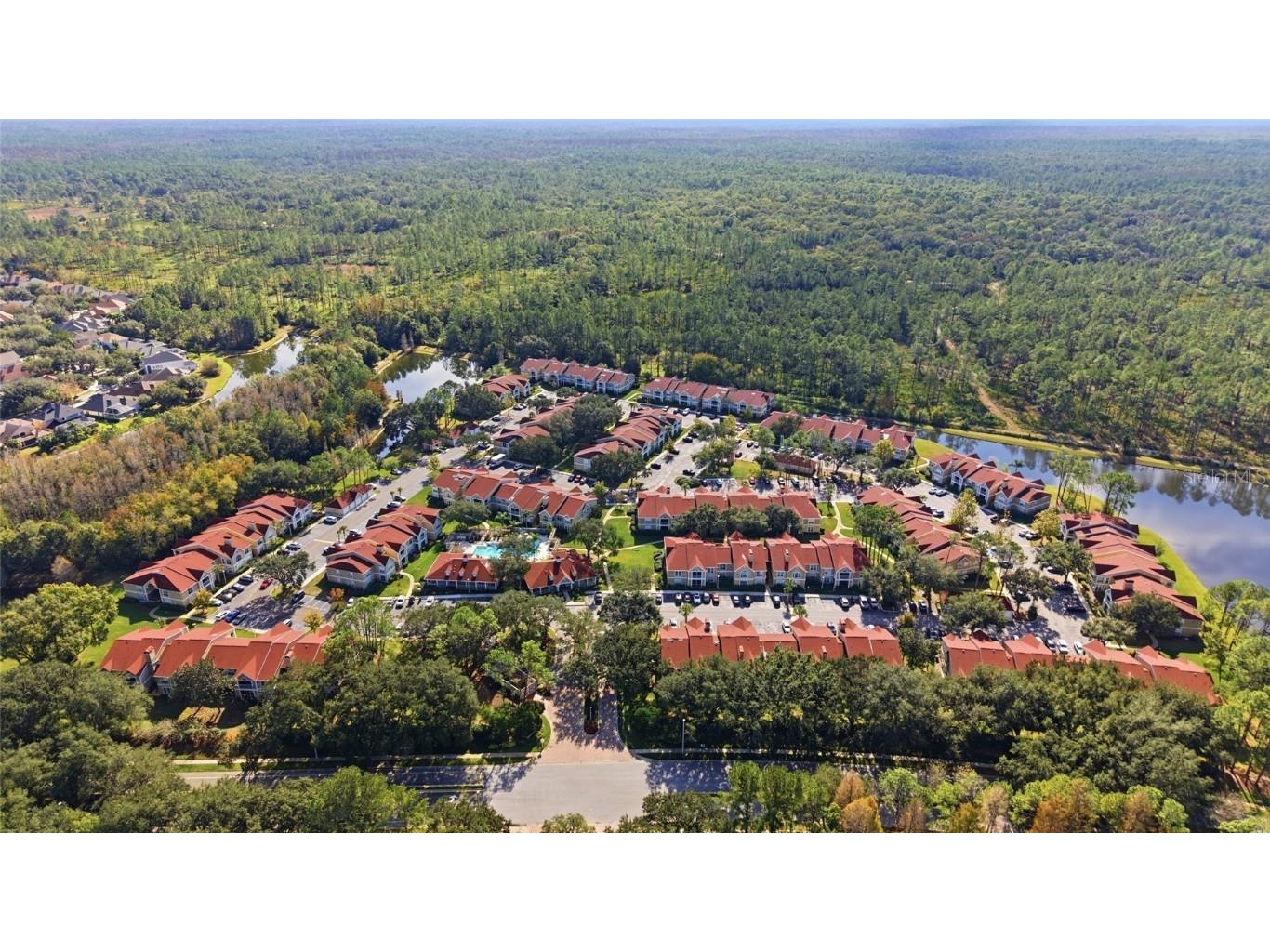 9481 Highland Oak Drive #802 Tampa FL 33647 TB8454877 image25