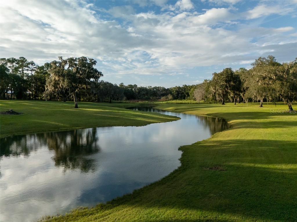 9481 W Highway 316 Reddick FL 32686 OM713781 image33