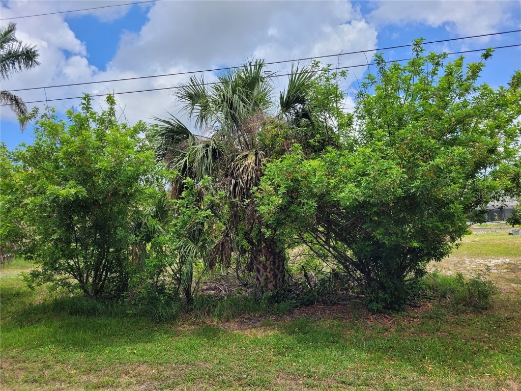 9484 Applin Circle Port Charlotte FL 33981 D6142567 image1