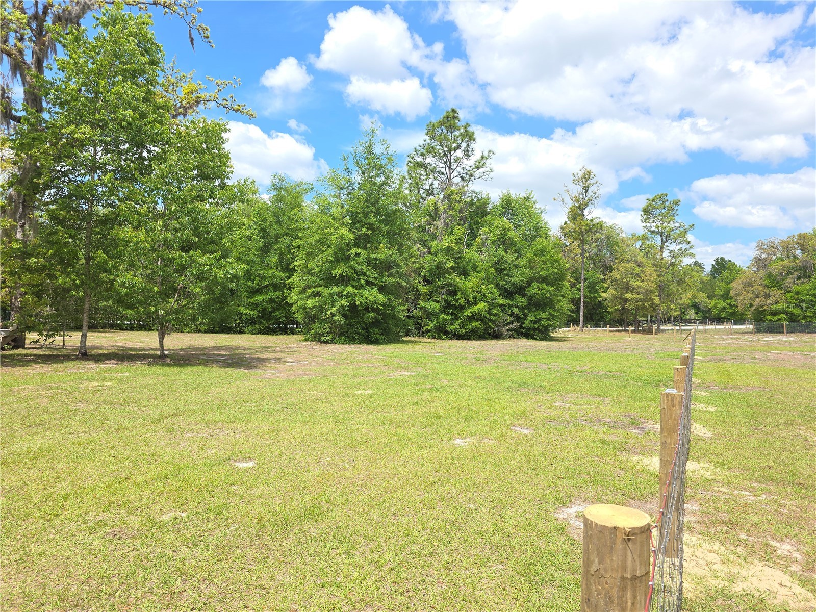 9484 Spirit Woods Trail Brooksville FL 34601 W7884862 image18