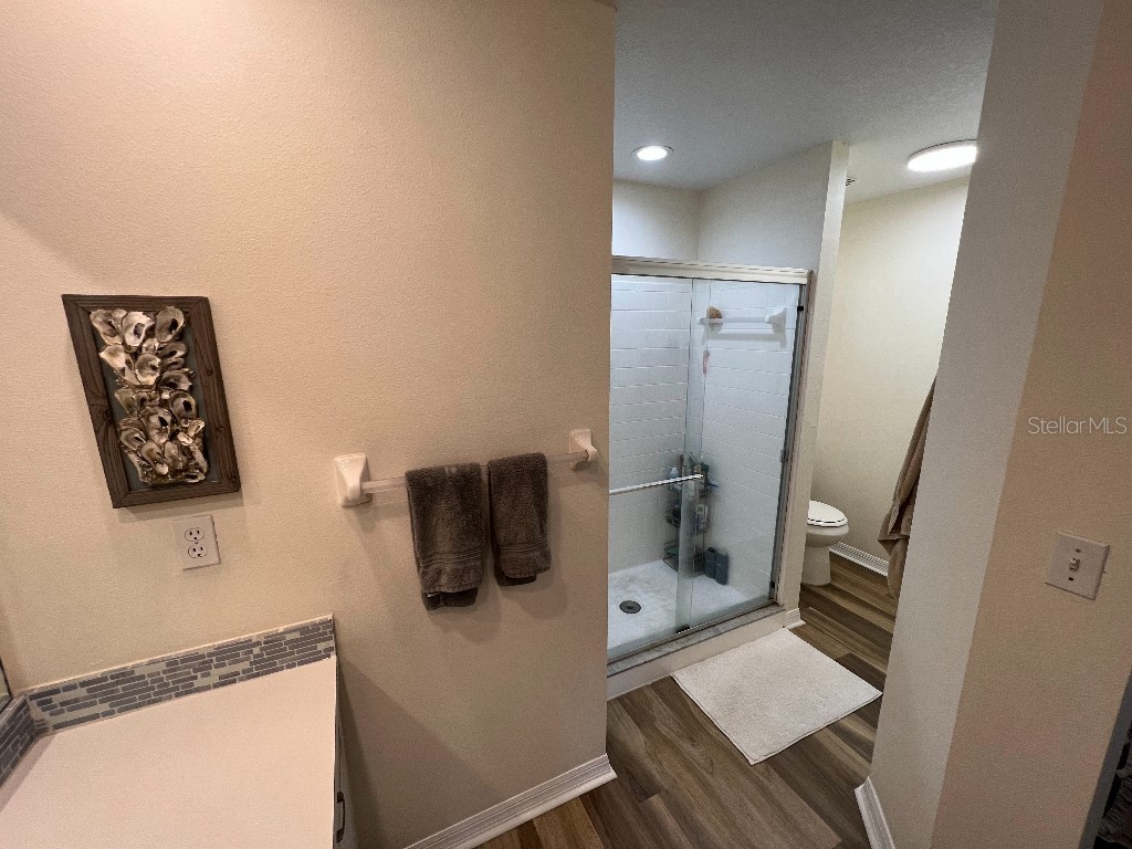 9485 Hamlin Boulevard #8 Seminole FL 33776 W7886088 image32