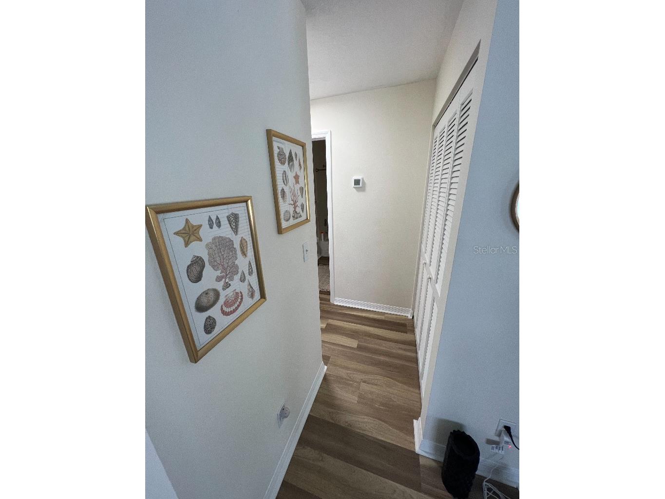9485 Hamlin Boulevard #8 Seminole FL 33776 W7886088 image35