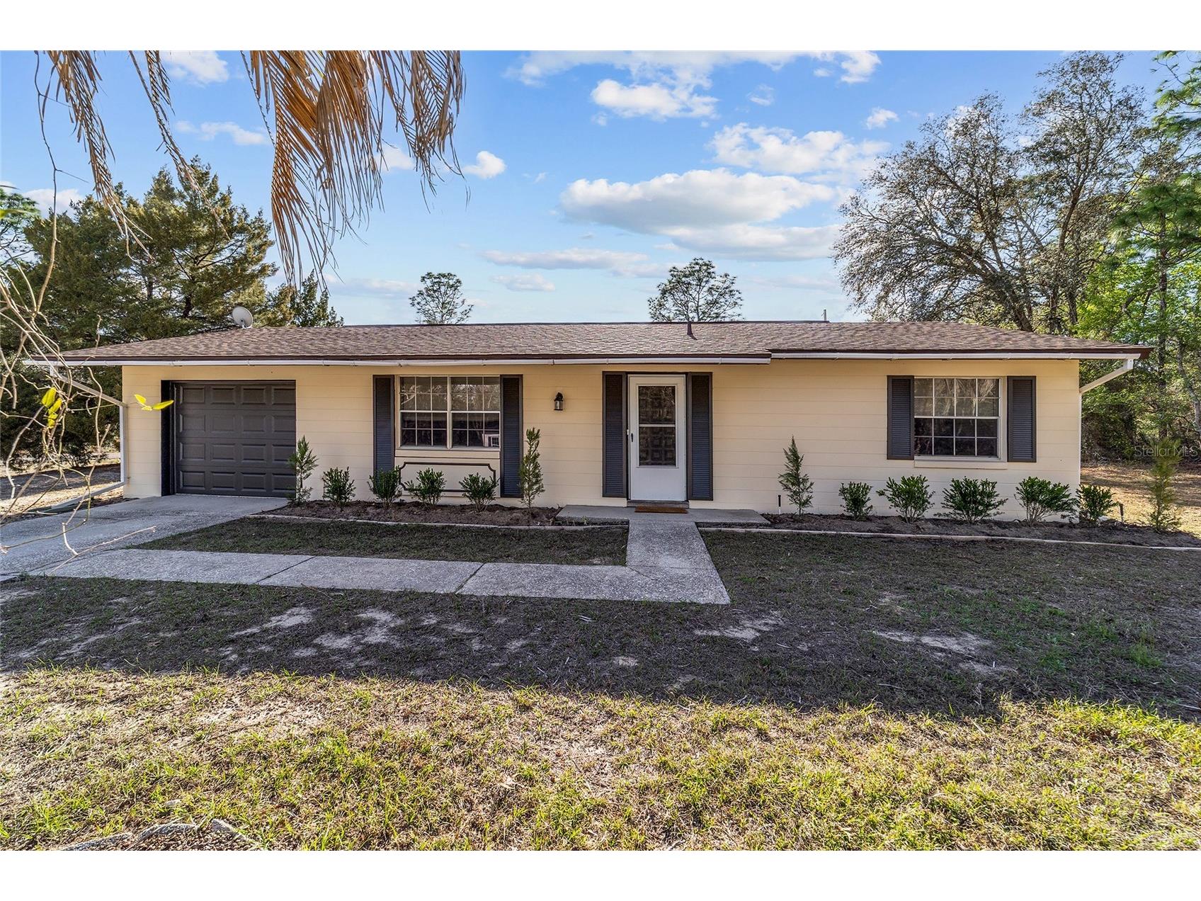 9488 N Sandree Drive Citrus Springs FL 34434 OM720197 image20