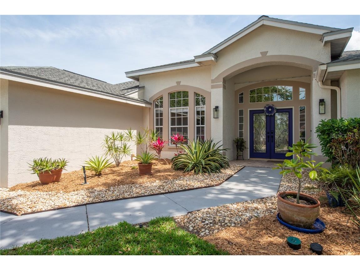 949 Belted Kingfisher Drive S Palm Harbor FL 34683 TB8369340 image1