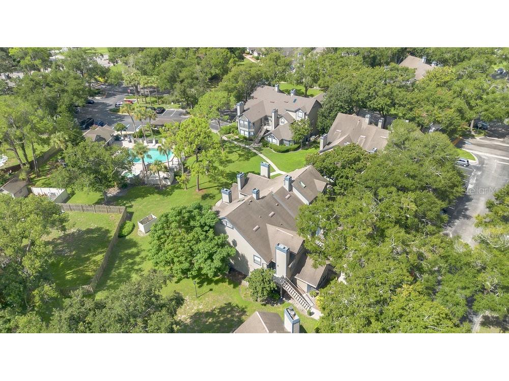 949 Bird Bay Court #101 Lake Mary FL 32746 O6338146 image21