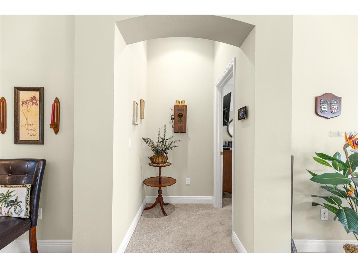 949 Isle Of Palms Path The Villages FL 32162 G5100660 image28