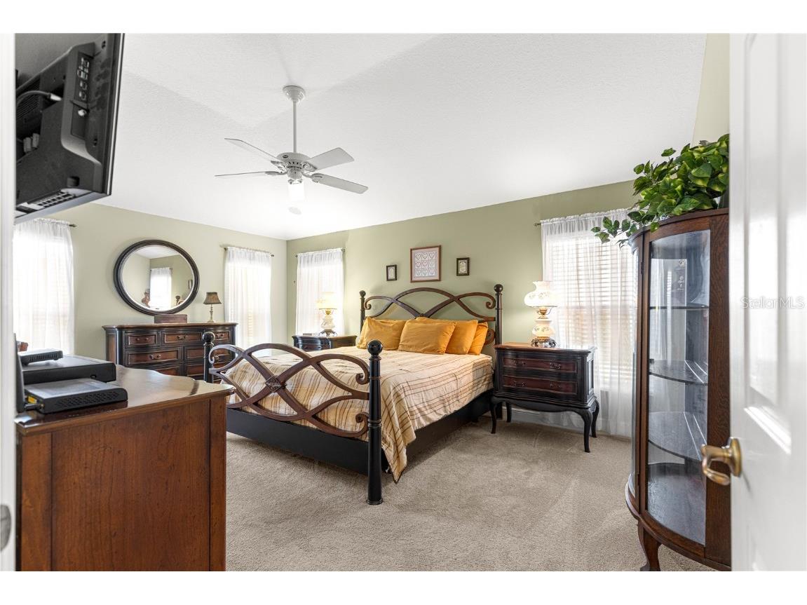 949 Isle Of Palms Path The Villages FL 32162 G5100660 image29