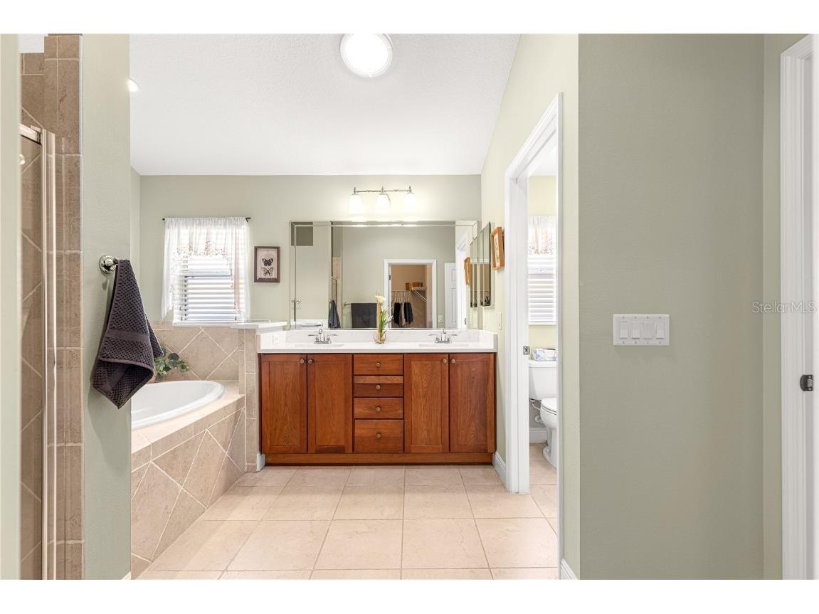 949 Isle Of Palms Path The Villages FL 32162 G5100660 image34