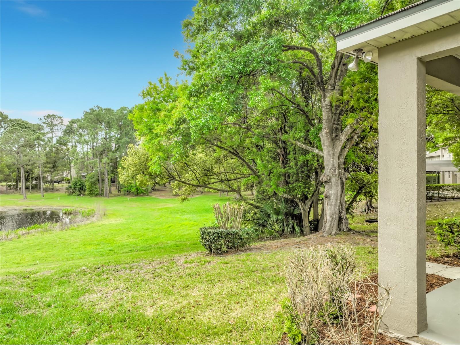 949 Pickfair Terrace Lake Mary FL 32746 - LAKE DAWSON O6392884 image48